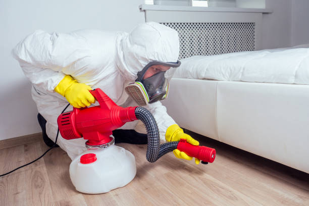 Real Estate Pest Inspections in Mccleary, WA